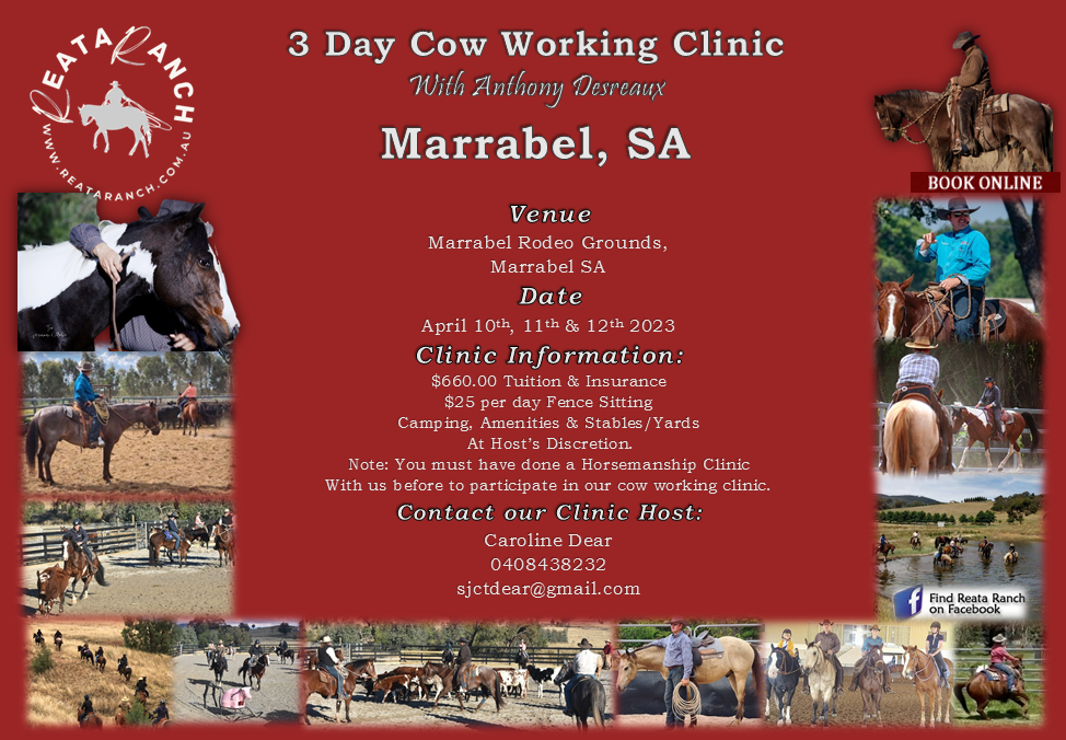 Clinic Schedule – Reata Ranch Horsemanship