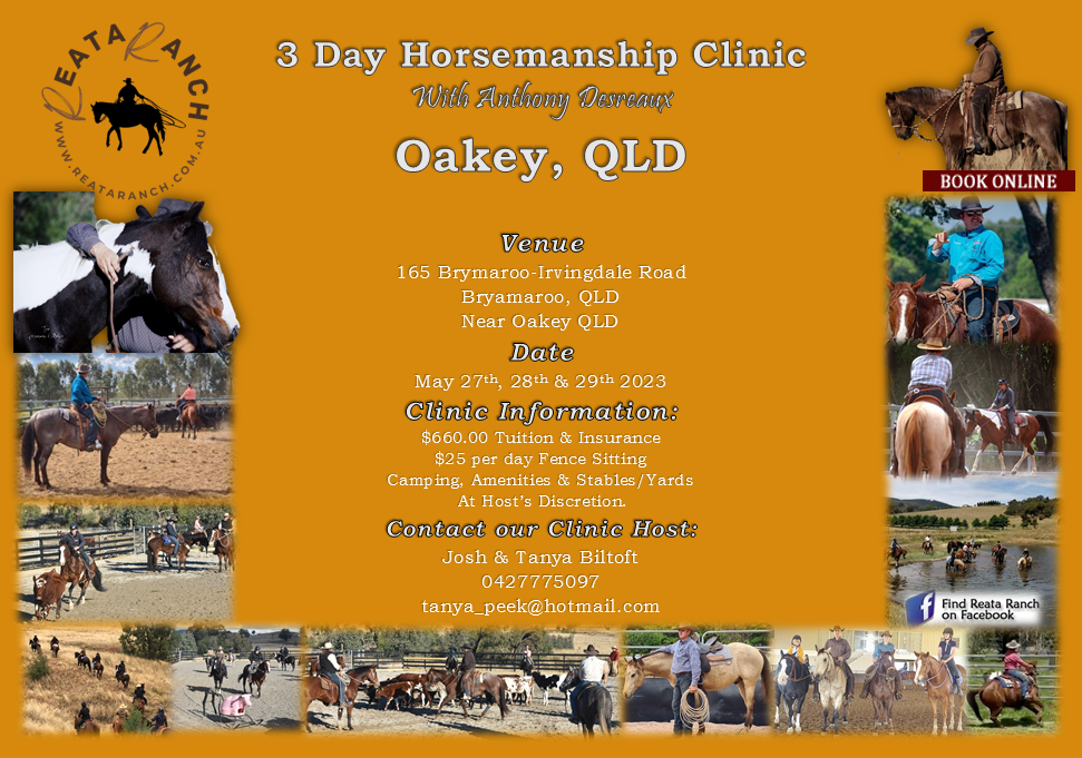 Clinic Schedule – Reata Ranch Horsemanship