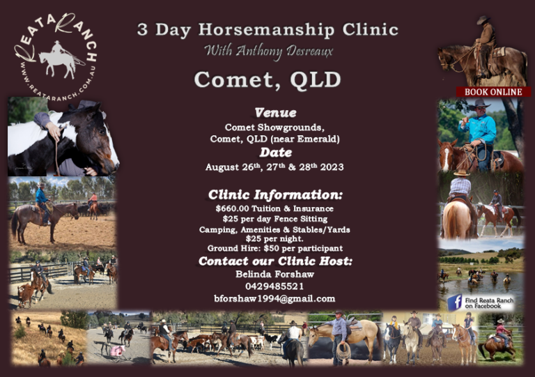 Clinic Schedule – Reata Ranch Horsemanship